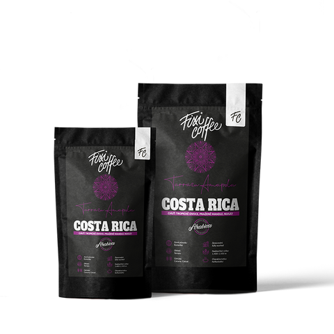 Fixi Coffee Costa Rica - 100% výběrové kávy v pytlíku